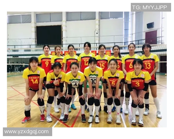 南京排球队在全国排球速度排行榜中荣获第五名的佳绩引发热议