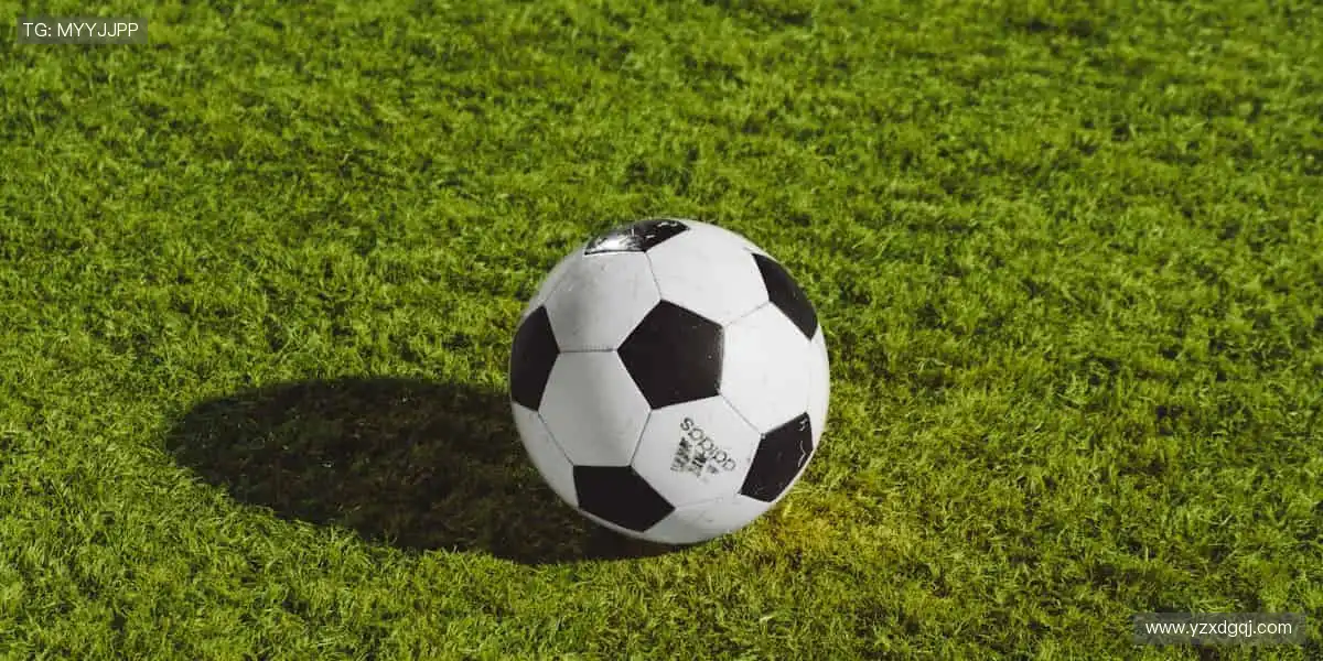 🎯 从装备到潮流，体育周边商城，做你的运动全能搭档！